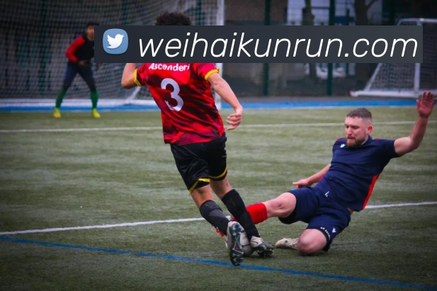 世界杯官方网络平台平台生态图